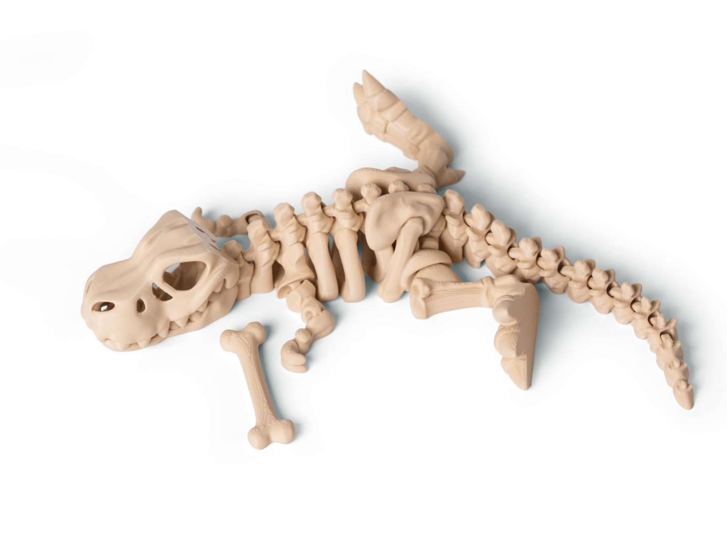 T-Rex kostra 3