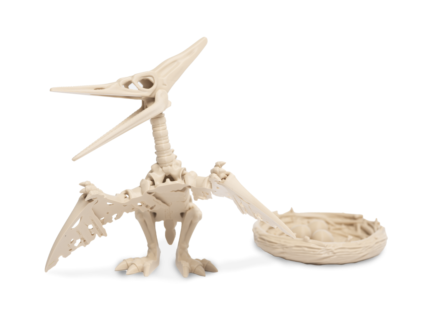 3D kostra Pteranodona