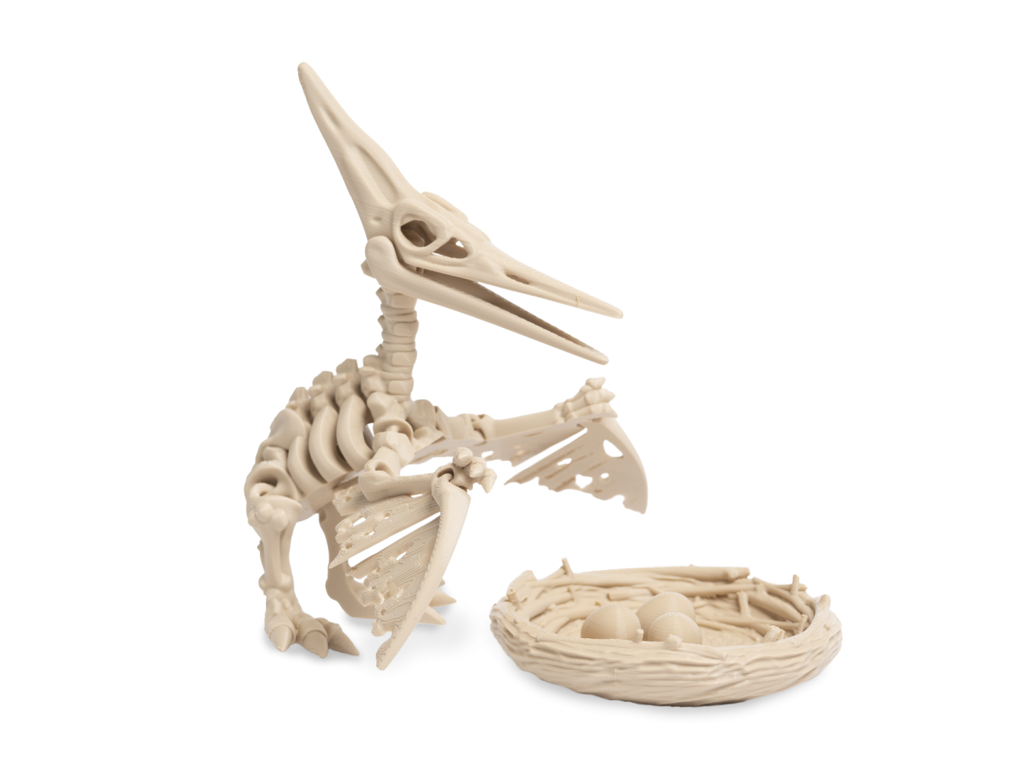 3D kostra pteranodon s hnízdem