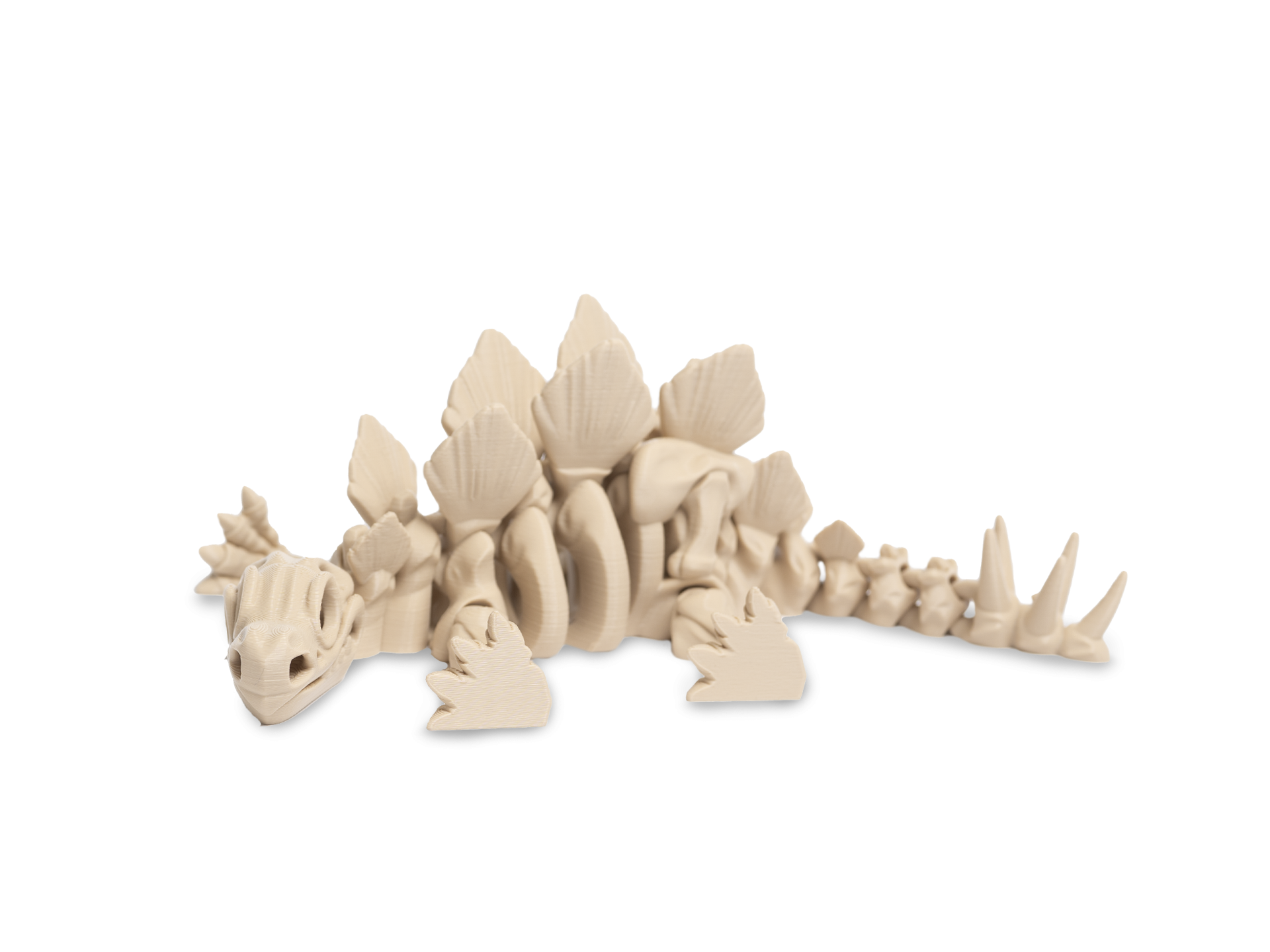 Kostra stegosaura ležící