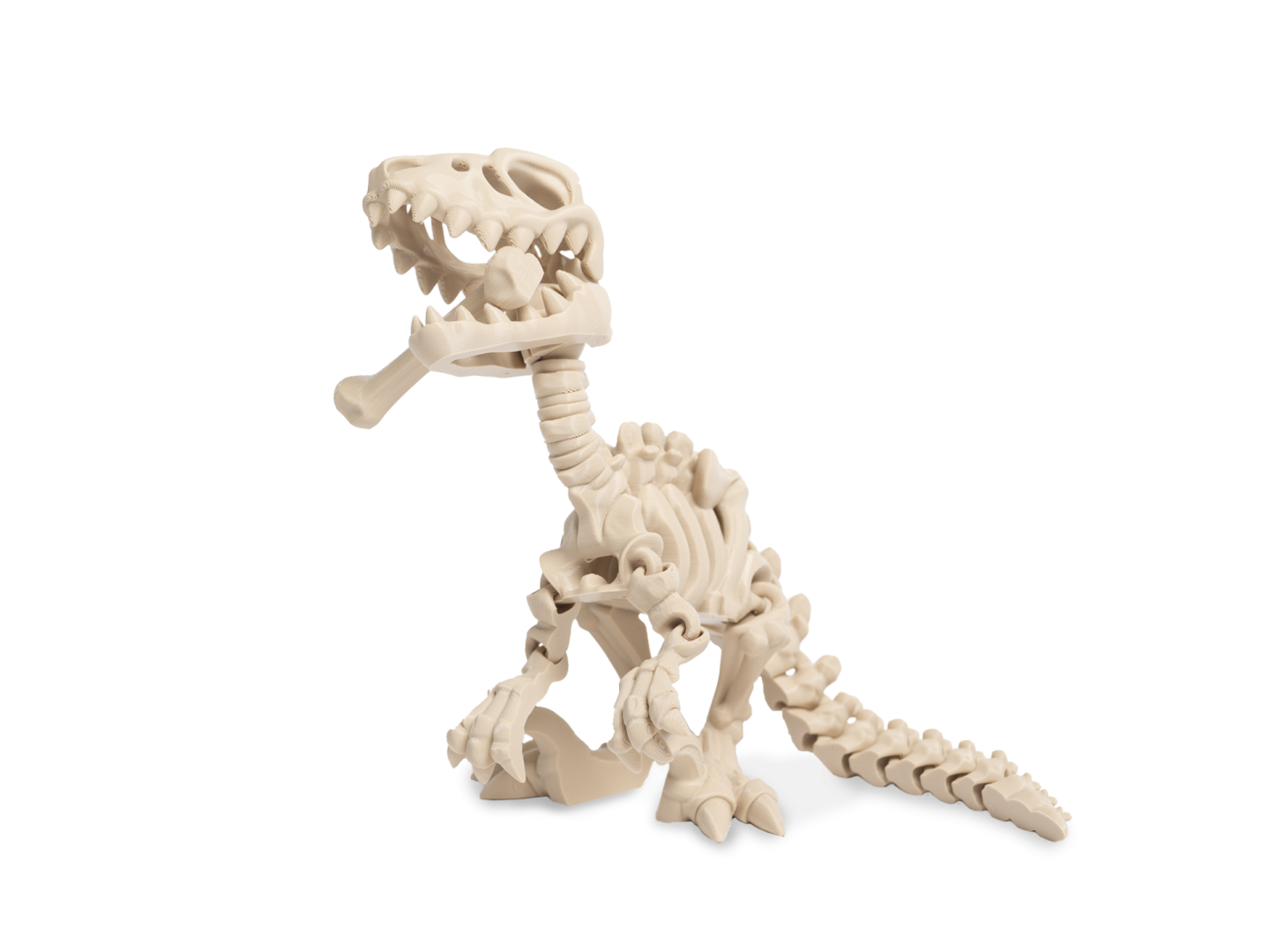 Kosra velociraptora se svou kostí