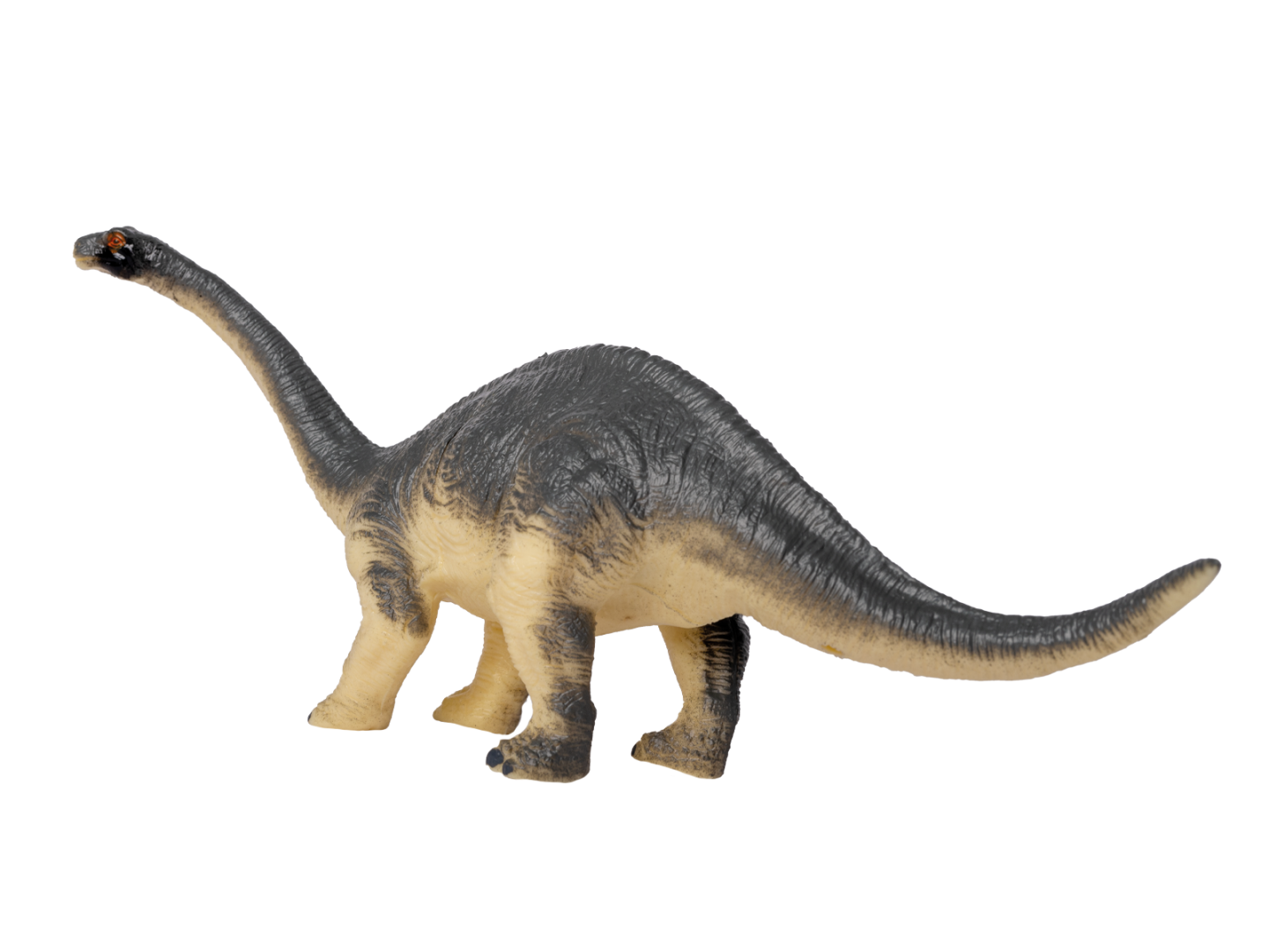 Diplodocus