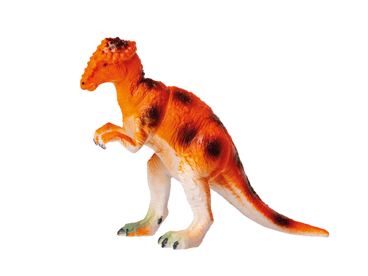 Pachycephalosaurus