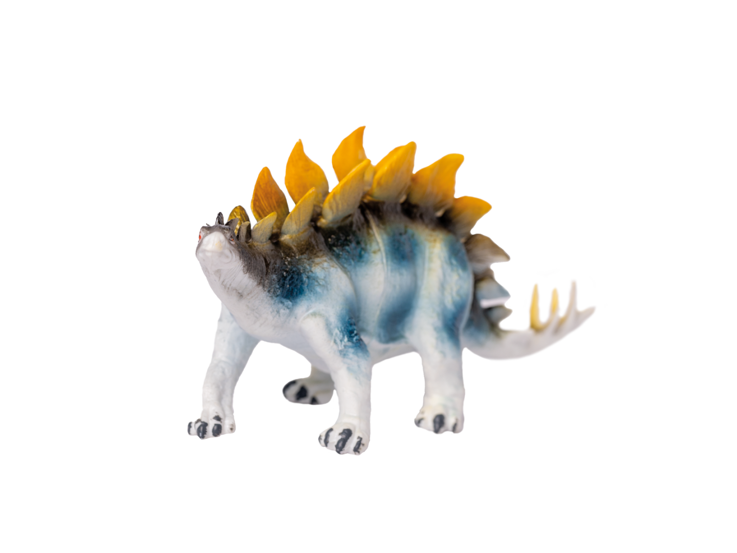 Stegosaurus