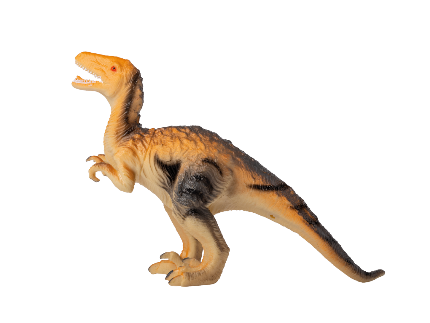 Velociraptor
