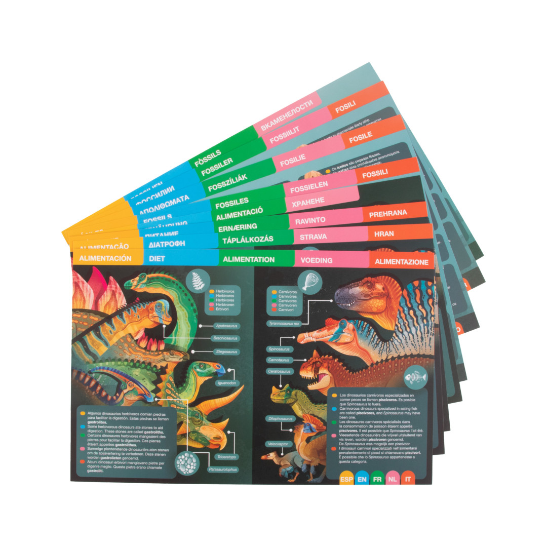 4 karty s vysvětlením v 19 jazycích