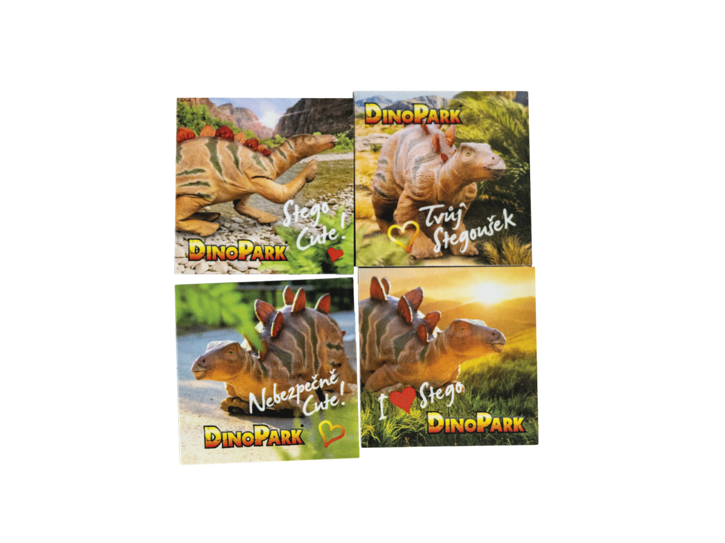 Magnety sada stegoušek