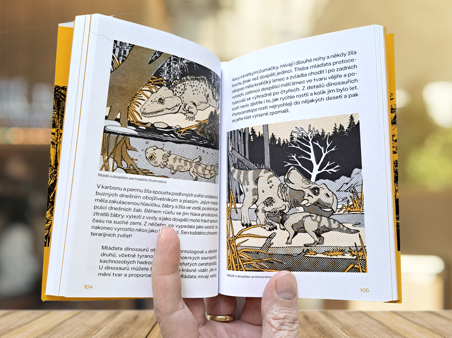 Příručka opravdového paleontologa 2