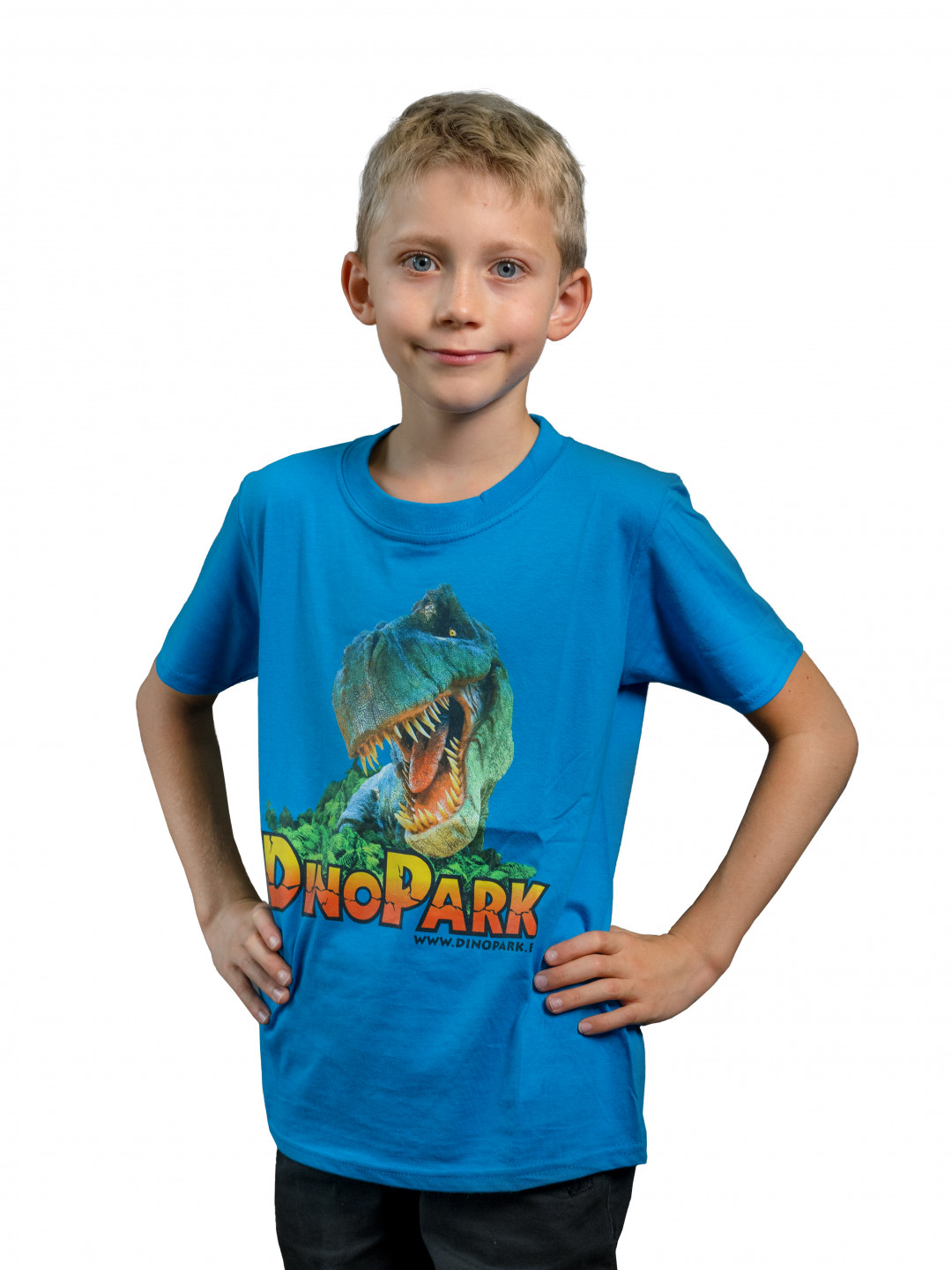 Barevná varianta - Dětské světle modré tričko s dinosaurem - T-Rex