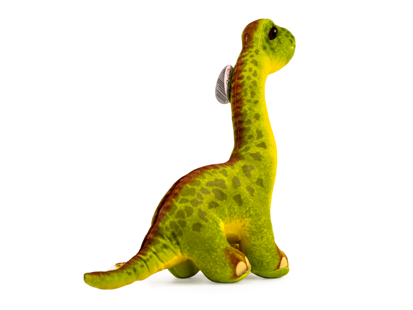 Brachiosaurus 3